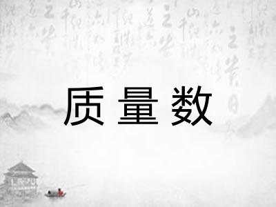 质量数 质量数