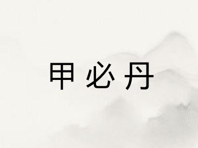 甲必丹 甲必丹