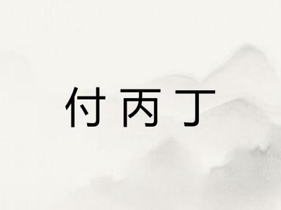 付丙丁 付丙丁