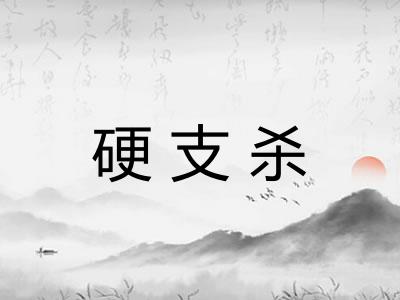 硬支杀 硬支杀