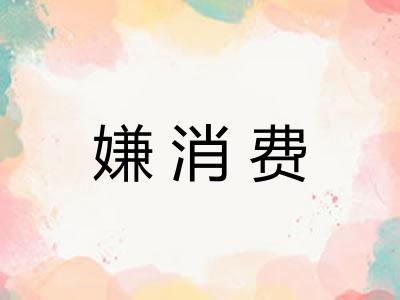 嫌消费 嫌消费