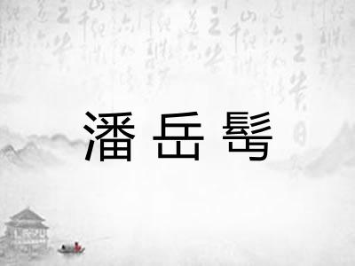 潘岳髩 潘岳髩