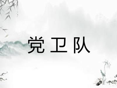 党卫队