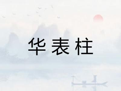 华表柱 华表柱