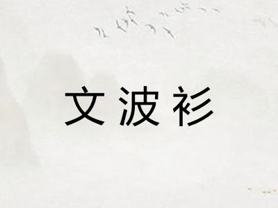 文波衫 文波衫