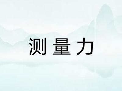 测量力 测量力