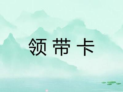 领带卡 领带卡