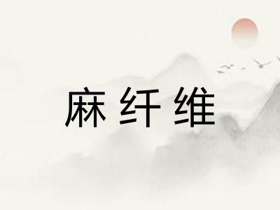 麻纤维 麻纤维