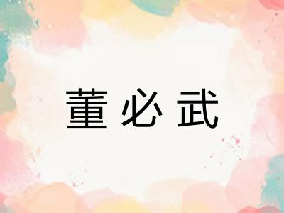 董必武 董必武