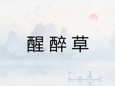醒醉草 醒醉草