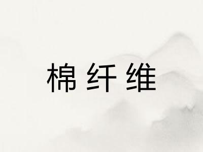 棉纤维 棉纤维
