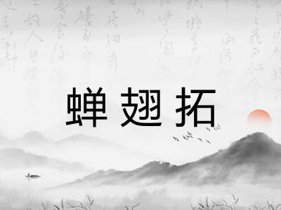 蝉翅拓 蝉翅拓