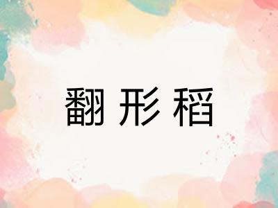 翻形稻 翻形稻