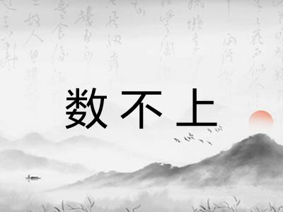 数不上 数不上