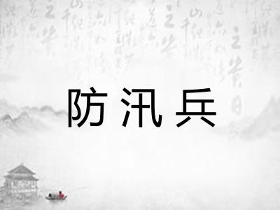 防汛兵 防汛兵