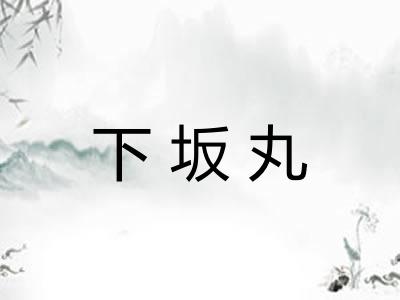 下坂丸