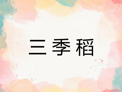 三季稻 三季稻