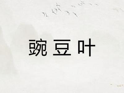 豌豆叶