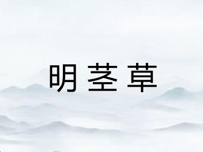 明茎草 明茎草
