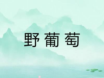 野葡萄 野葡萄