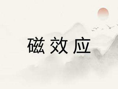 磁效应 磁效应