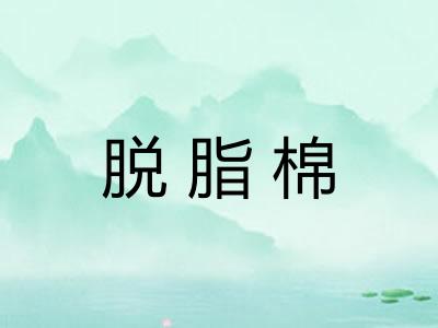 脱脂棉 脱脂棉