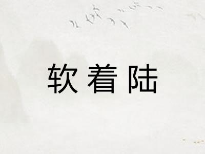 软着陆 软着陆