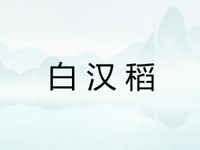 白汉稻 白汉稻