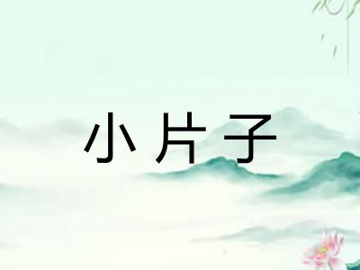 小片子