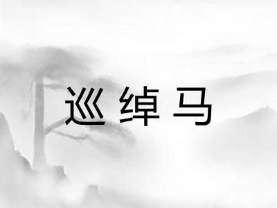 巡绰马 巡绰马