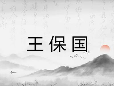 王保国