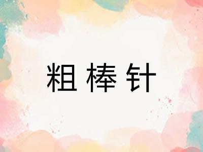 粗棒针 粗棒针