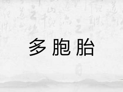 多胞胎 多胞胎