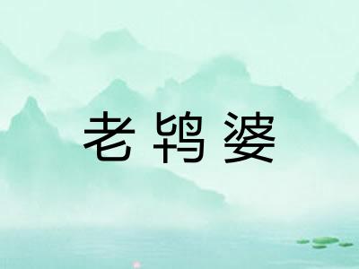 老鸨婆 老鸨婆