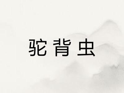 驼背虫 驼背虫