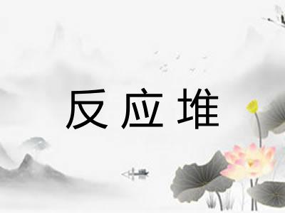 反应堆 反应堆
