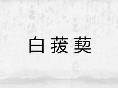 白菝葜 白菝葜