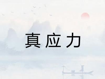 真应力 真应力