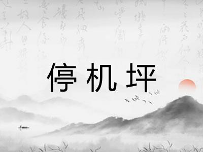 停机坪 停机坪