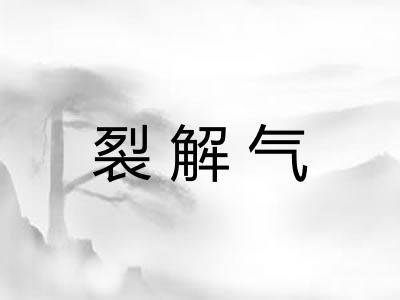 裂解气 裂解气