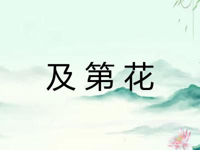 及第花 及第花
