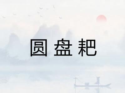 圆盘耙 圆盘耙