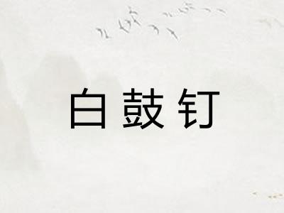 白鼓钉 白鼓钉
