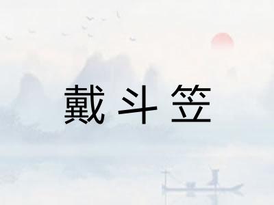 戴斗笠 戴斗笠