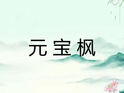 元宝枫