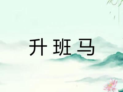 升班马