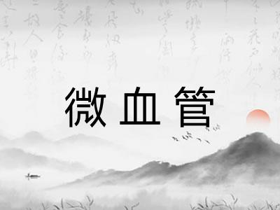 微血管 微血管