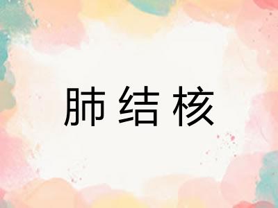 肺结核 肺结核