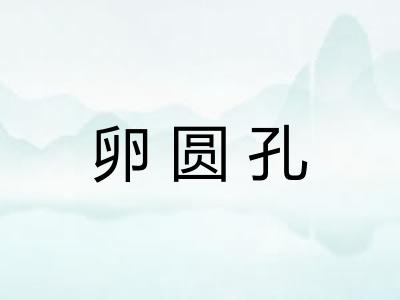 卵圆孔 卵圆孔