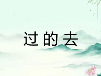 过的去